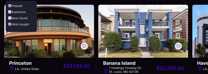 Platform Dashboard Screenshot - Showing tokenization interface
